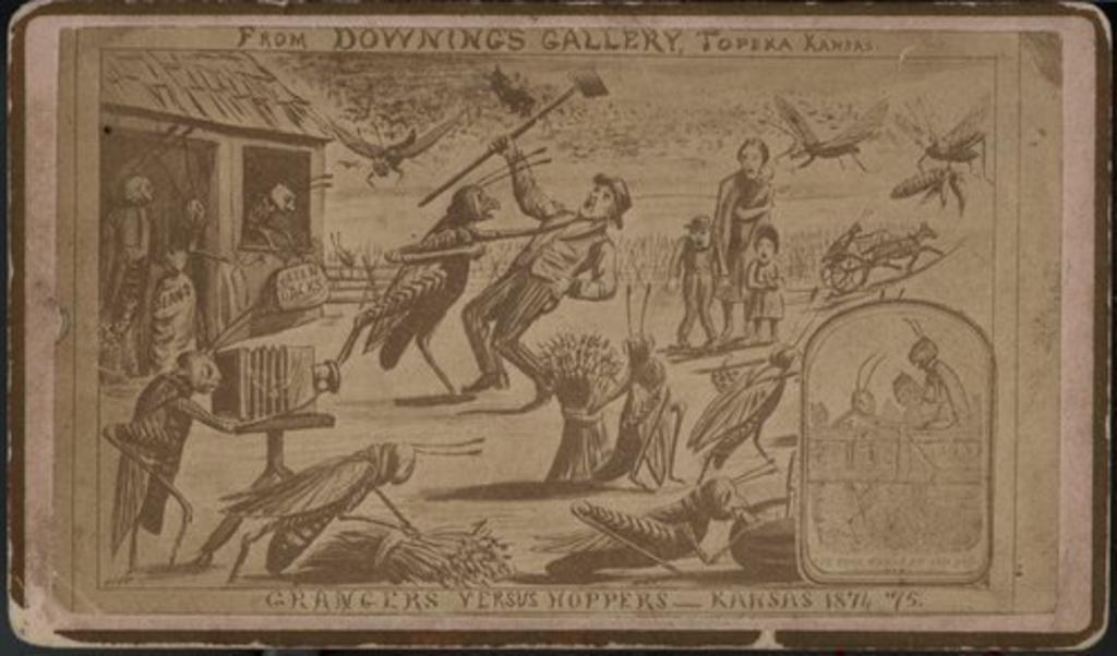 A cartoon by Kansas artist Henry Worrall showing Kansas farmers battling grasshoppers, 1874. [source](https://www.kansasmemory.org/item/214827)